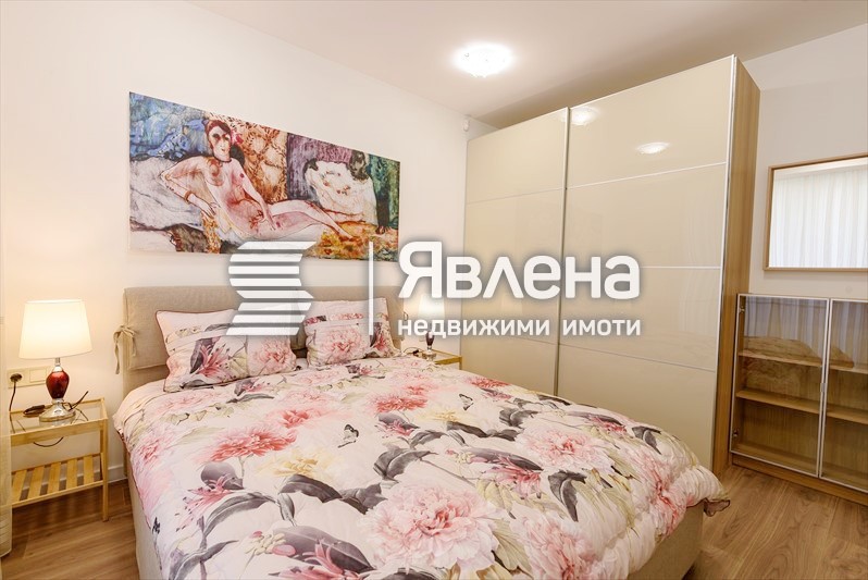 стая