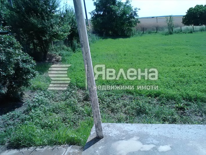 двор