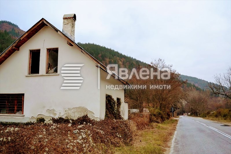 Лице на главен път