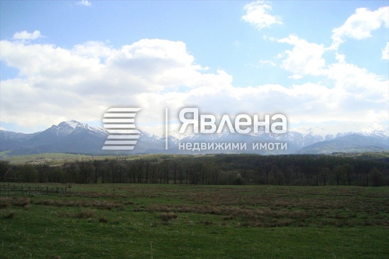 панорама