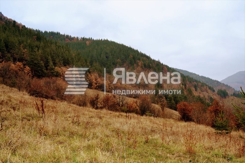 Парцел без гора