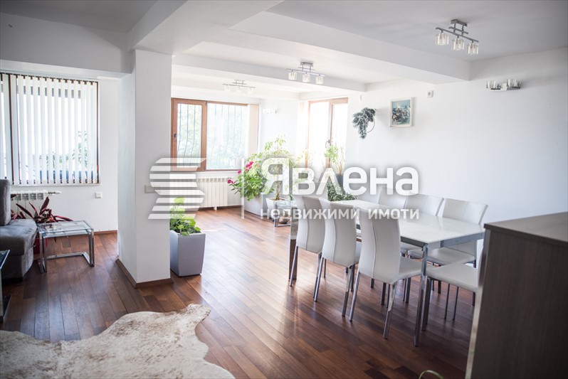 Дневен тракт
