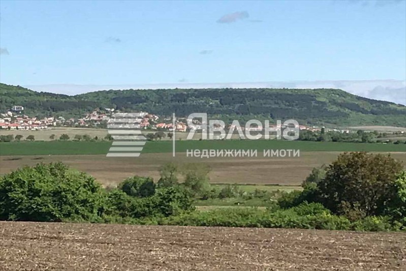 Панорамна гледка