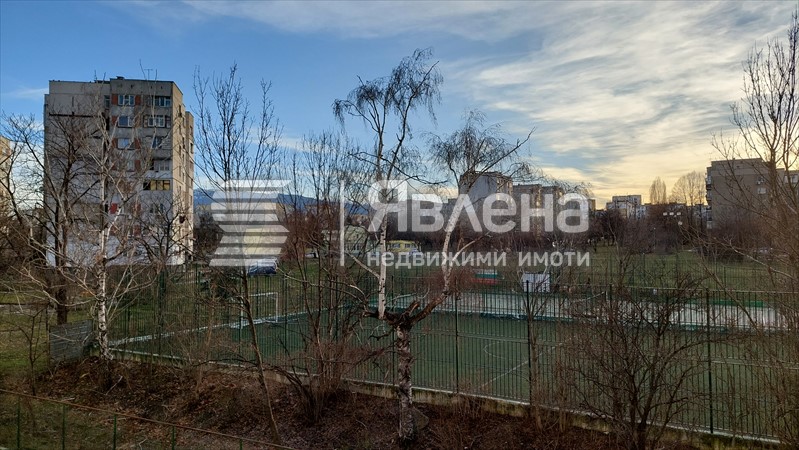 панорама