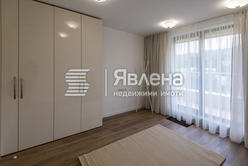 стая