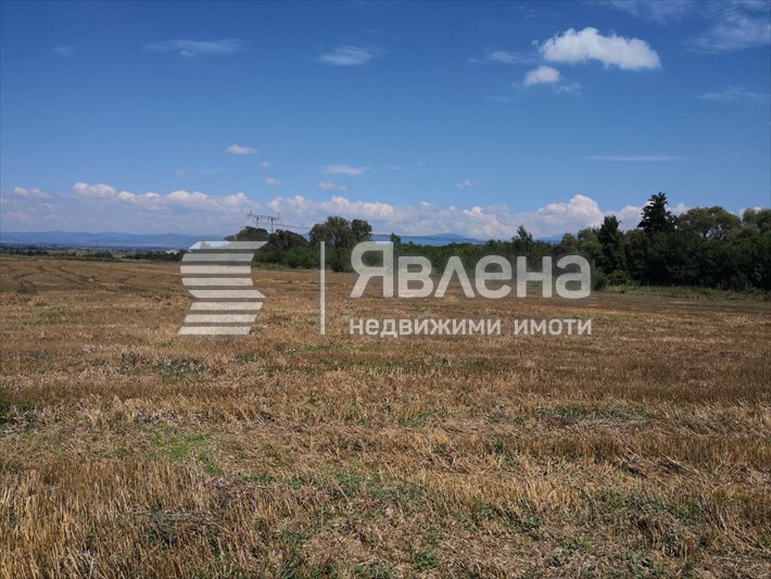 терен