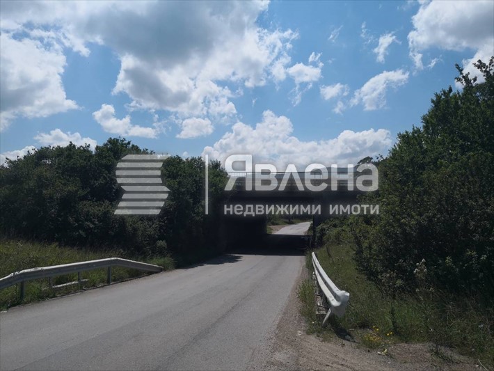 Детелина