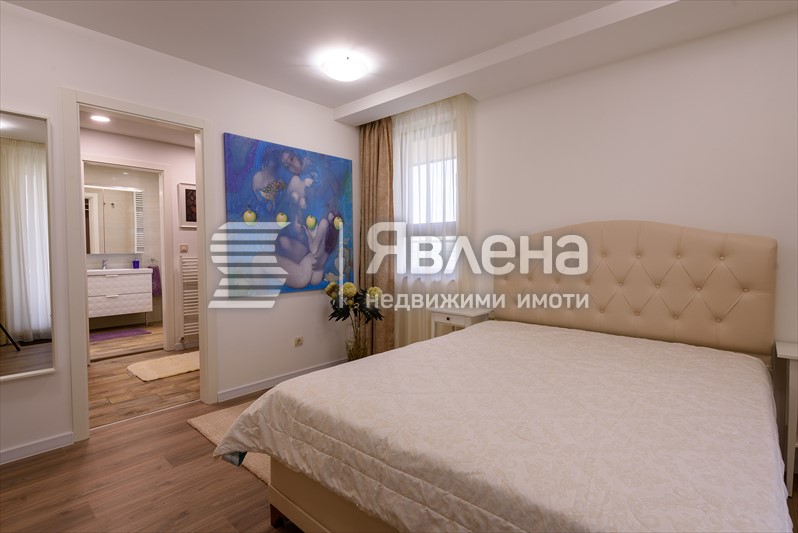 стая