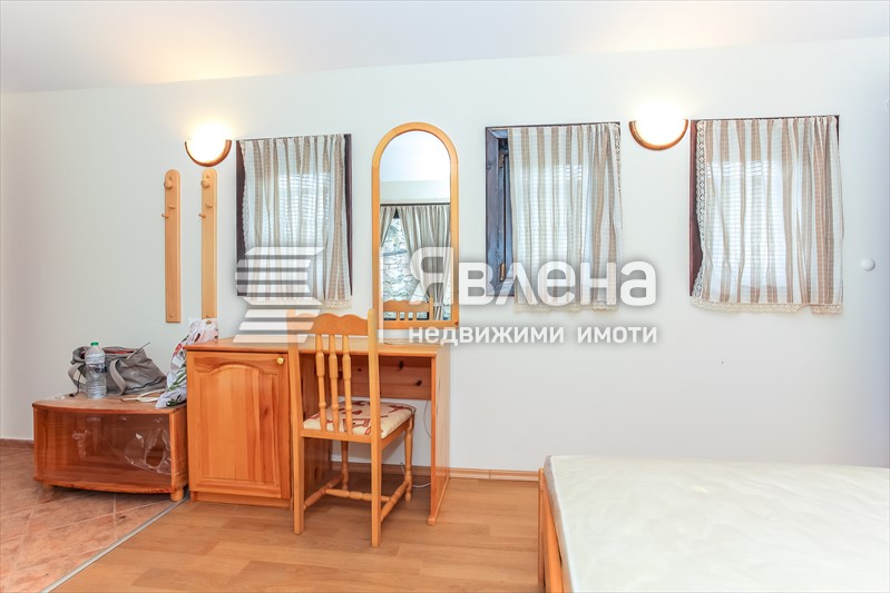 стая