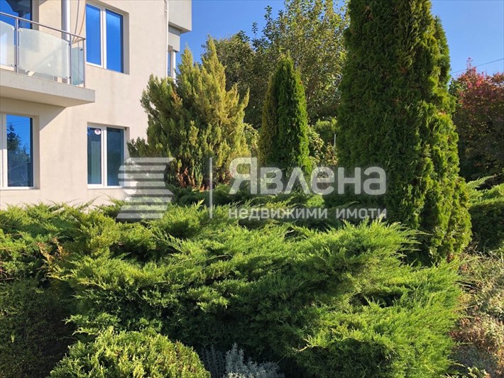 Тристаен Траката