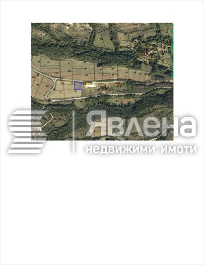 парцел