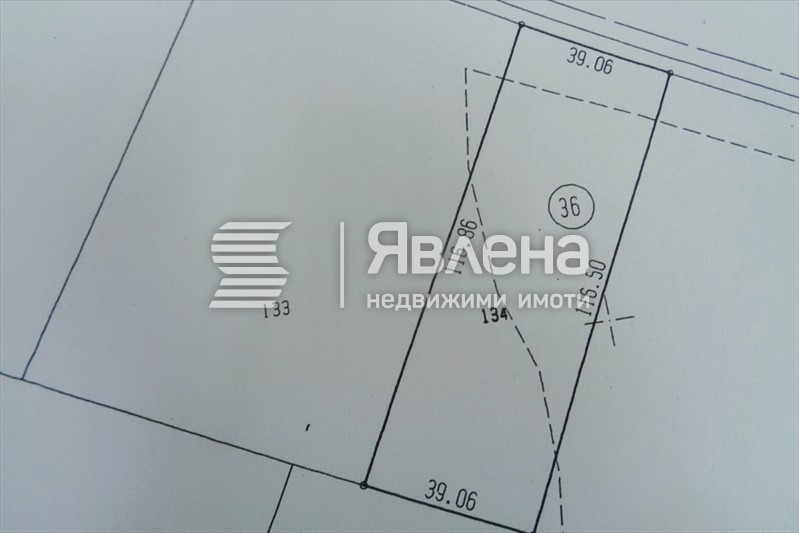 Скица
