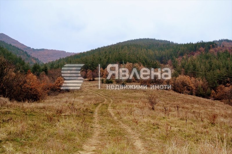 Равен парцел
