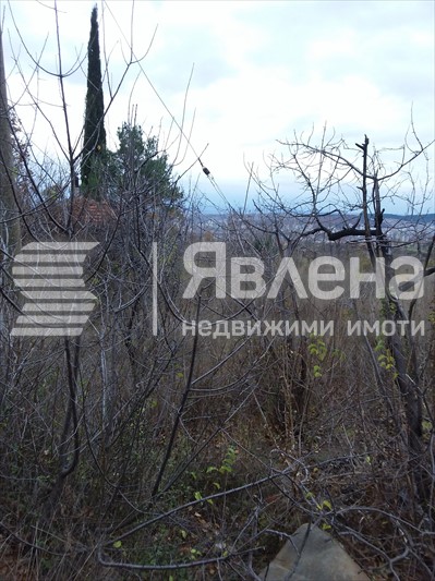 Парцел