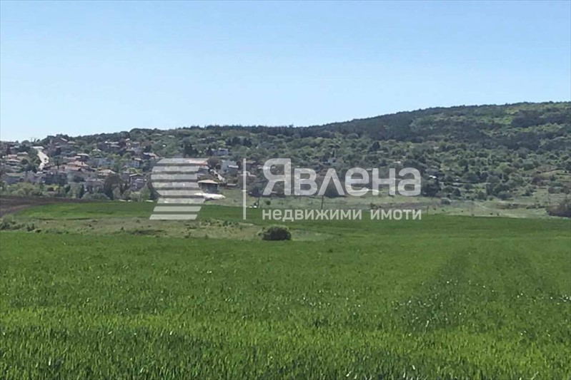 Гледка към с. Рогачево