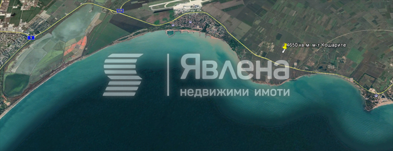 кошарите