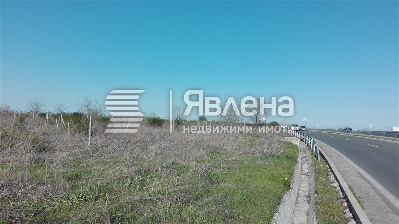 лице на гл.път