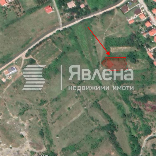 Google maps