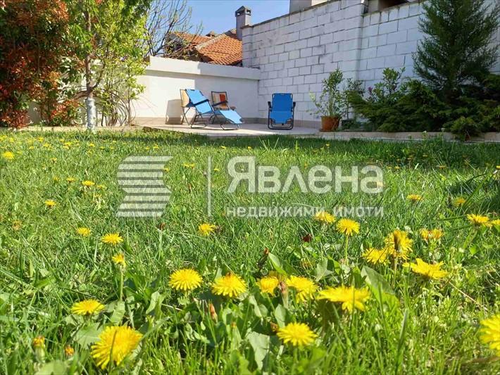двор