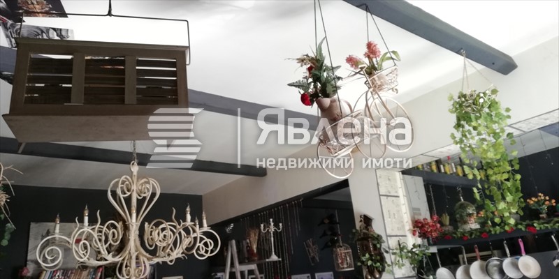 дневна