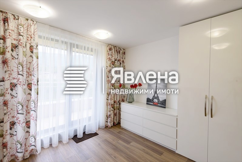 стая