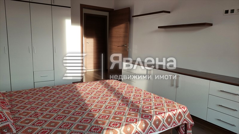стая