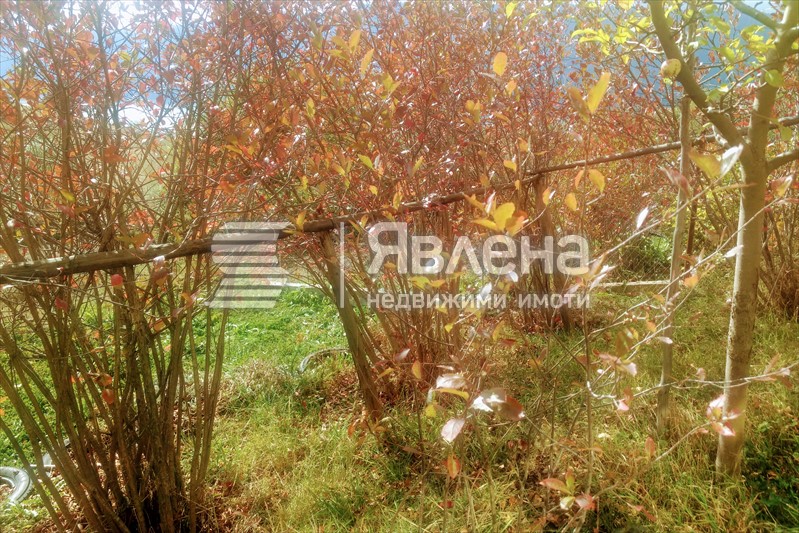 двор