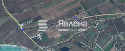 ниви чаира