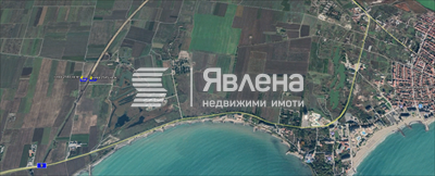ниви чаира