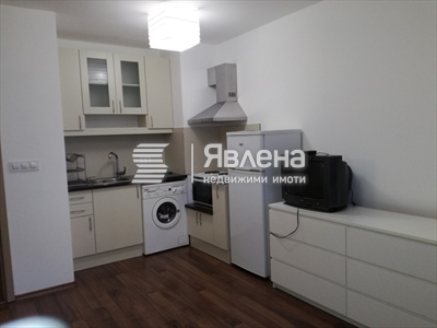 стая