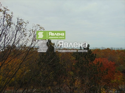 гледка