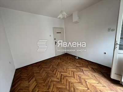 Стая