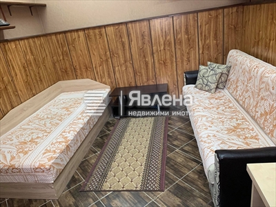 стая