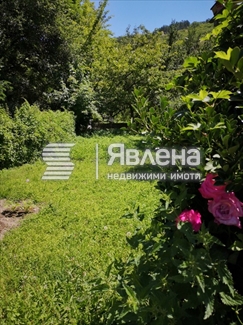 двор