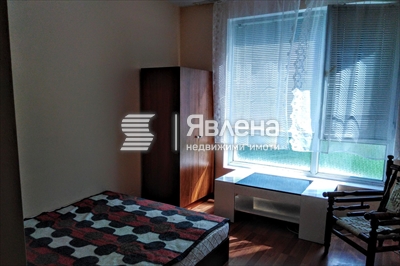 стая