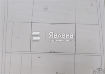 скица скица