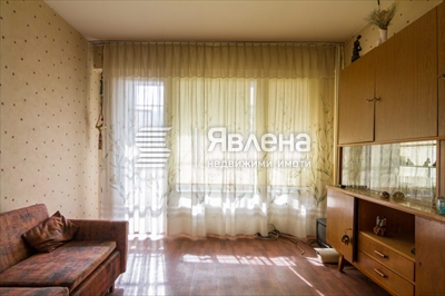 стая